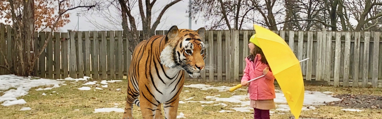 L’activité à la maison la plus cool pour les amoureux des animaux